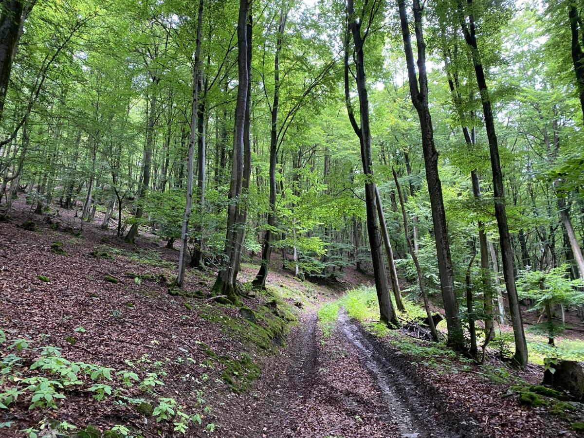 Waldlaeufer Brilon Διαμέρισμα Εξωτερικό φωτογραφία