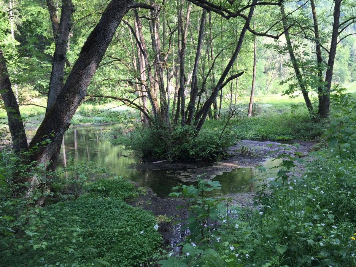 Waldlaeufer Brilon Διαμέρισμα Εξωτερικό φωτογραφία
